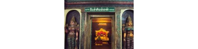 புன்னை நல்லூர் மாரியம்மன் - தமிழ்நாடு